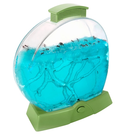 Educational Insights Geosafari® Day 'N' Night Ant Farm 5144